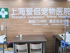 -爱侣宠医·鹦鹉专科·小型哺乳类·异宠专科(灵石路店)