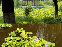 -东湖景区