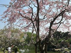 -玄武湖景区-情侣园游乐场