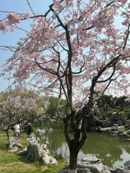 -玄武湖景区-情侣园游乐场
