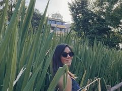 -成都市活水公园