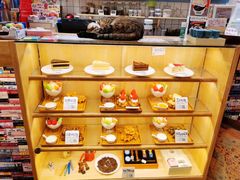 -猫的天空之城概念书店(杭州南宋御街店)