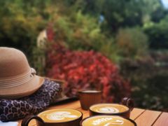 -三忘湖 SWANSEEN(柳荫公园店)