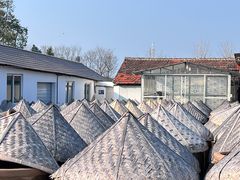 -苏州市吴中区光福窑上花果蜜饯厂