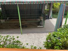 -成都安仁福朋喜来登酒店