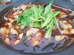 -都江堰石锅鱼