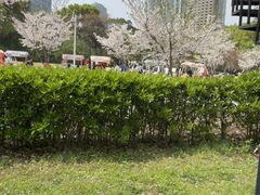 -虹之森·小馆