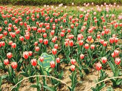 -玄武湖景区-情侣园游乐场