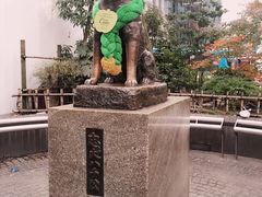 -涩谷区