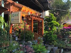 -桂林市花鸟市场