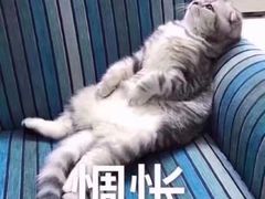 -麦当劳(塔园路店)