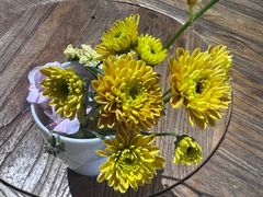 -月栖华明-云间草堂清茶馆(泗泾古镇店)