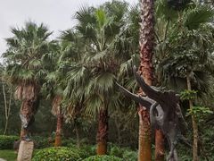 -大亚湾红树林城市湿地公园