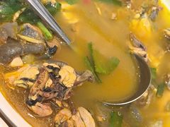 -滇铺子·云南特色菜·第九届野生菌美食节(东风东路c86店)