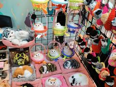 -深圳龙华星河COCO City(民治店)