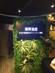 点击看大图 -藤野造型