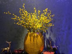 -璞·澐间影院式足道SPA(尚悦湾店)
