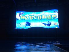 -横店影视城梦幻谷园区