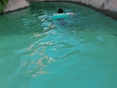 -亚马逊丛林水乐园