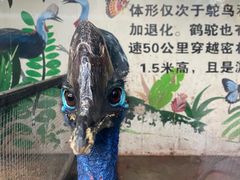 -济南野生动物世界