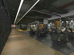 -金吉鸟健身游泳