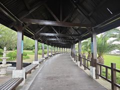 -碧海金沙