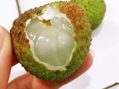 -PAGODA百果园(深圳天琴阁店)