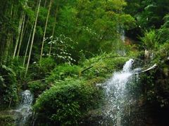 -蜀南竹海景区