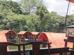 -侨美·唐荔园·40年地道粤菜