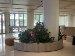 -观心实验室·心理咨询(上海旗舰店)