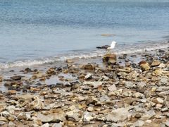 -那香海钻石沙滩浴场