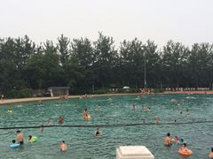 iphone_upload_pic-柳浪游泳场