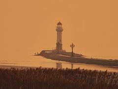 -上海吴淞炮台湾国家湿地公园