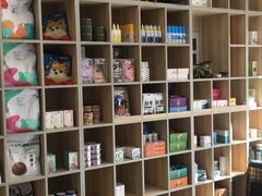 -泰康动物医院·猫科中心·外科中心(塘沽店)