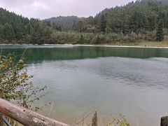 -武陵山森林公园