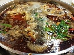 -蜀滋香鲜鱼美蛙火锅(339店)