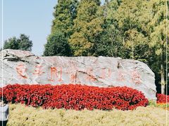 -东平国家森林公园