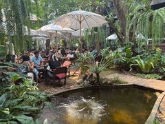-Fern Forest Cafe