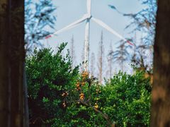 -上海长兴岛郊野公园