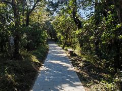 -梧桐山风景名胜区