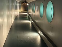 -白鹤梁水下博物馆