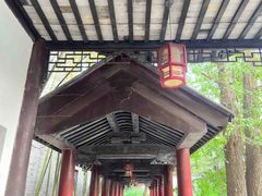-龙潭水乡