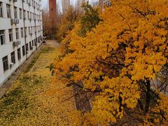 -中国建设银行哈尔滨培训中心