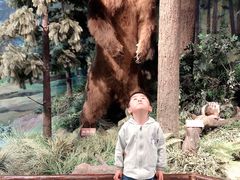 -陕西自然博物馆