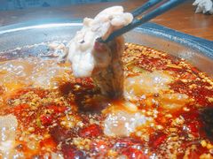 -云鱿记鱿鱼鸡·野生菌火锅(人民南路店)