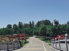 -西安浐灞国家湿地公园
