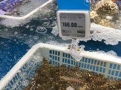 -盒马鲜生(大成店)