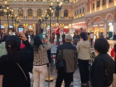 -澳门威尼斯人综合度假区