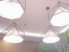 -新概念东北菜(场北店)