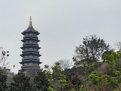 -重庆园博园